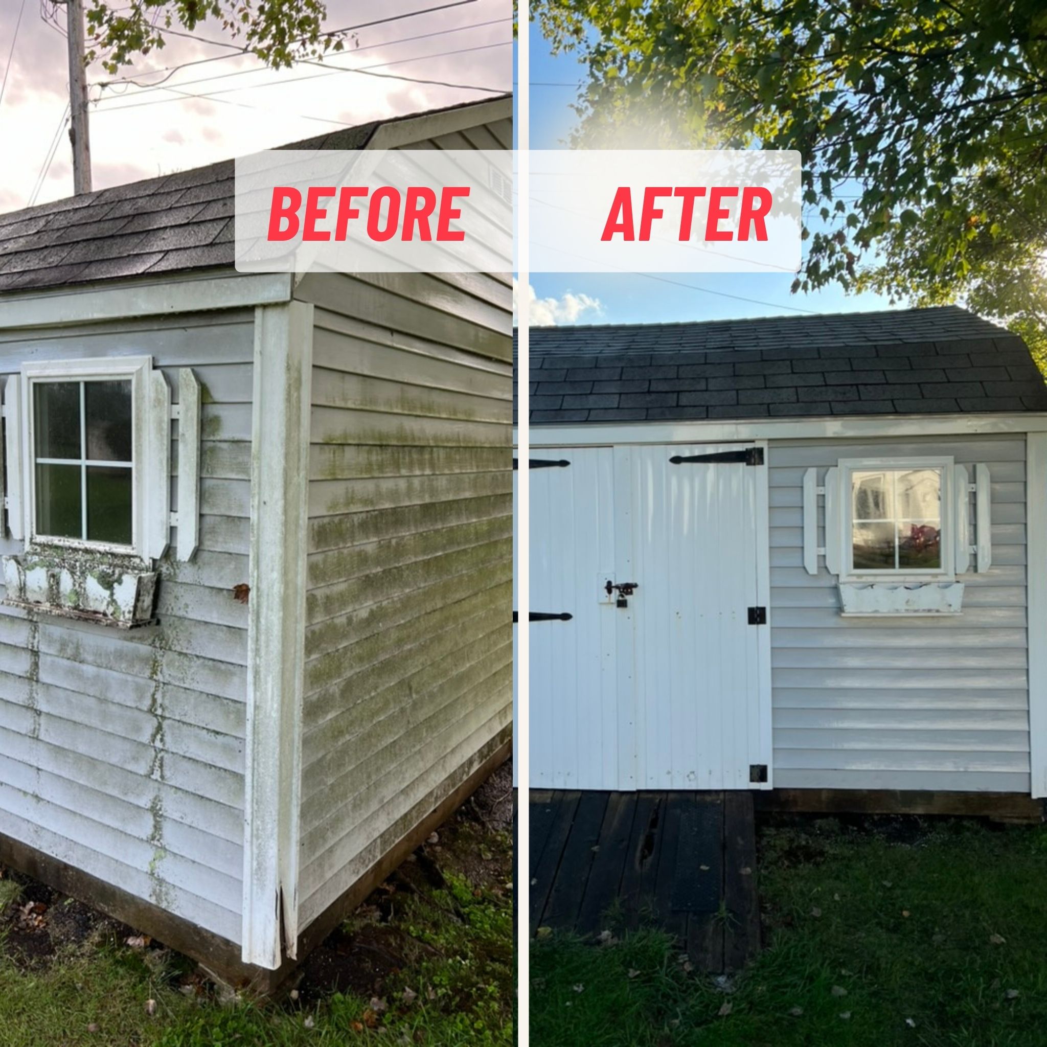 🌿 Bye-Bye Algae! Hatfield, We've Got Your Back! 🏡✨